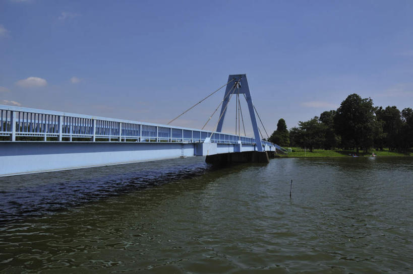 无人,横图,室外,白天,正面,旅游,度假,草地,湖,湖泊,美景,水,植物,大桥,道路,立交桥,路,路灯,桥梁,照明,东京,日本,亚洲,一座,湖面,景观,水流,水面,云,云朵,高架,小路,斜拉桥,桥,灯光,交通,云彩,娱乐,灯,草,树,树木,蓝色,绿色,白云,蓝天,天空,自然,湖水,天,享受,休闲,景色,放松,生长,晴朗,成长,照亮,照明设备,自然风光,东亚,本州,关东地方,本州岛,日本国,东京都,水元公园,葛饰区,晴空,彩图