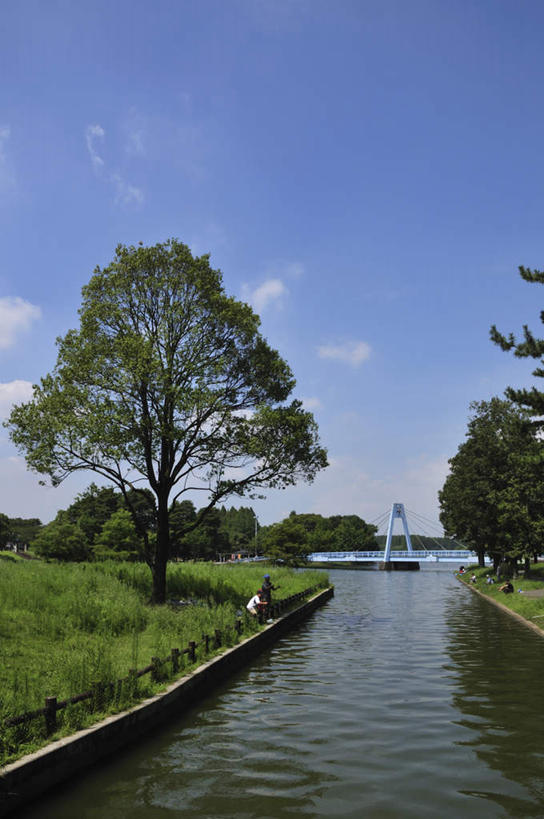 无人,竖图,室外,白天,正面,旅游,度假,草地,湖,湖泊,美景,水,植物,大桥,道路,立交桥,路,路灯,桥梁,照明,东京,日本,亚洲,一座,湖面,景观,水流,水面,云,云朵,高架,小路,斜拉桥,桥,灯光,交通,云彩,娱乐,灯,草,树,树木,蓝色,绿色,白云,蓝天,天空,自然,湖水,天,享受,休闲,景色,放松,生长,晴朗,成长,照亮,照明设备,自然风光,东亚,本州,关东地方,本州岛,日本国,东京都,水元公园,葛饰区,晴空,彩图