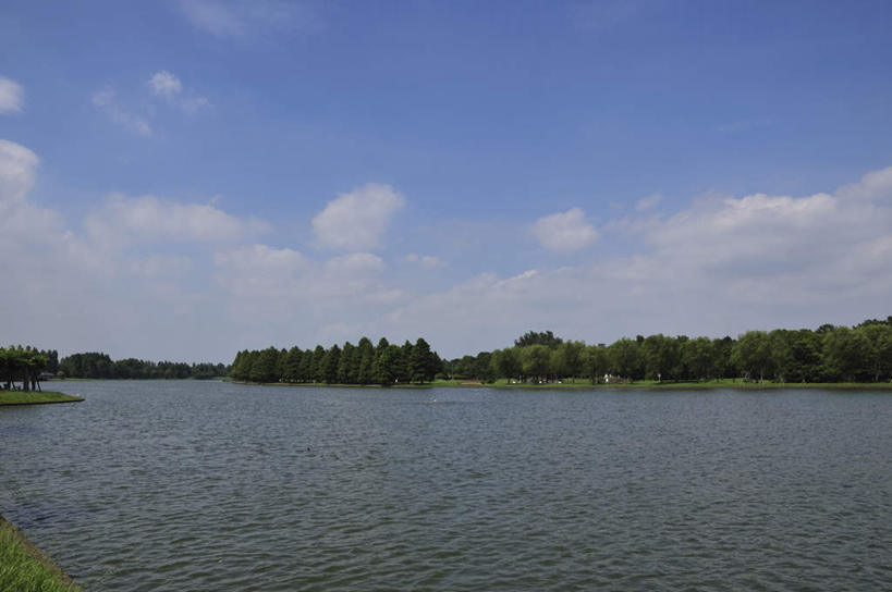 无人,横图,室外,白天,正面,旅游,度假,湖,湖泊,美景,水,植物,东京,日本,亚洲,湖面,景观,水流,水面,云,云朵,云彩,娱乐,树,树木,蓝色,绿色,白云,蓝天,天空,自然,湖水,天,享受,休闲,景色,放松,生长,晴朗,成长,自然风光,东亚,本州,关东地方,本州岛,日本国,东京都,水元公园,葛饰区,晴空,彩图