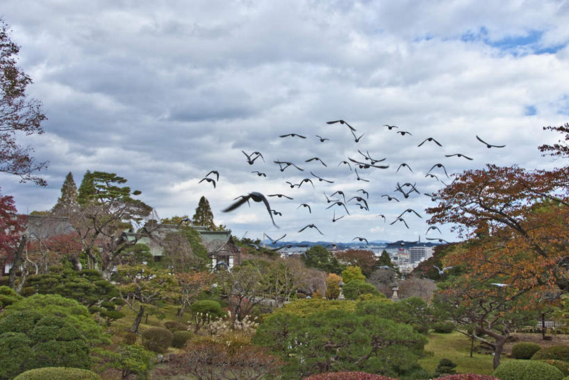 无人,家,横图,室外,白天,正面,旅游,度假,草地,草坪,美景,植物,鸟,日本,亚洲,一堆,许多,飞翔,阴影,堆叠,堆积,光线,大雁,鸟类,影子,房屋,屋子,景观,云,云朵,云彩,娱乐,楼房,住宅,草,树,树木,蓝色,绿色,白云,蓝天,天空,阳光,自然,天,享受,休闲,景色,放松,生长,成长,堆,自然风光,东亚,本州,本州岛,日本国,宫城,宫城县,东北地方,彩图,房子