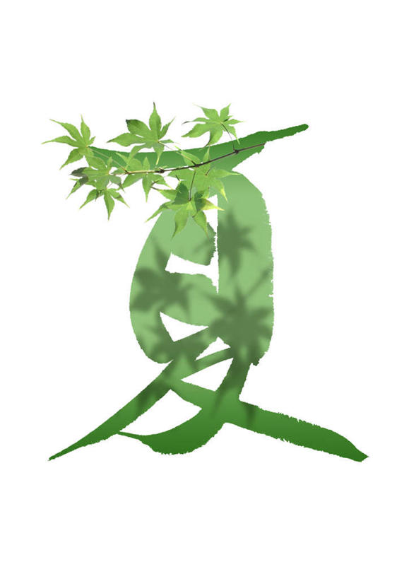 无人,竖图,俯视,室内,白天,白色背景,旅游,度假,美景,竹子,叶子,许多,组合,标志,文字,竹叶,字符,景观,绿叶,娱乐,标识,排列,绿色,自然,夏天,享受,休闲,嫩叶,汉字,景色,放松,模仿,摄影,影棚,生机,模拟,队列,中文,自然风光,灵动,国文,华文,叶,叶片,彩图,高角度拍摄,影棚拍摄,拍摄