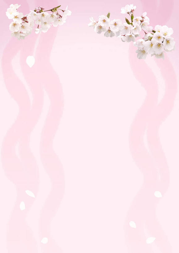 无人,竖图,俯视,室内,白天,植物,樱花,许多,粉色背景,散落,盛开,花,花瓣,花朵,花卉,鲜花,白色,花蕊,仙樱花,福岛樱,青肤樱,飘拂,荆桃,彩图,高角度拍摄