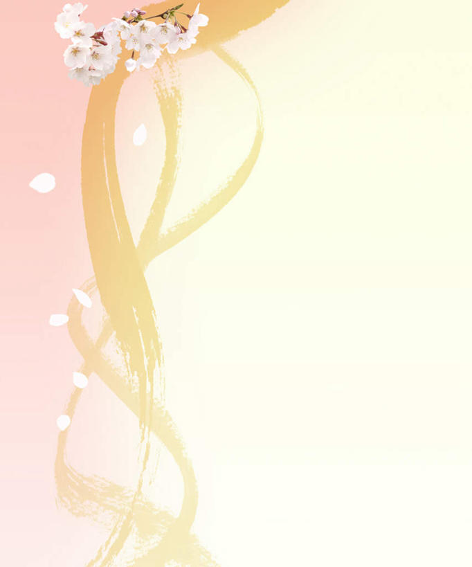 无人,竖图,俯视,室内,白天,植物,樱花,许多,粉色背景,弯曲,散落,盛开,曲线,花,花瓣,花朵,花卉,鲜花,白色,花蕊,弧度,弧线,优美,仙樱花,福岛樱,青肤樱,飘拂,荆桃,彩图,高角度拍摄