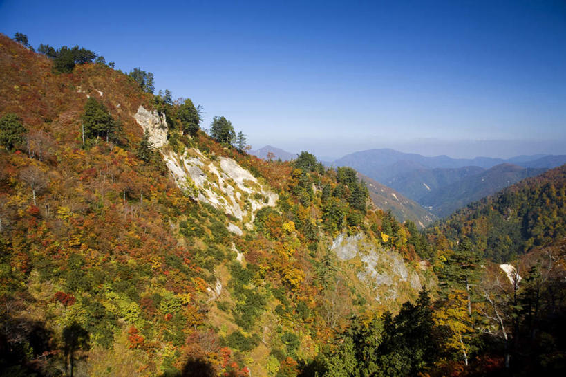 无人,横图,俯视,航拍,室外,白天,旅游,度假,美景,秋季,山,山脉,树林,植物,日本,亚洲,许多,景观,山峰,山峦,娱乐,树,树木,蓝色,绿色,蓝天,天空,自然,群山,天,享受,休闲,景色,放松,生长,晴朗,成长,鸟瞰,自然风光,东亚,本州,万里无云,本州岛,日本国,石川,石川县,中部地方,晴空,晴空万里,秋,秋天,彩图,高角度拍摄