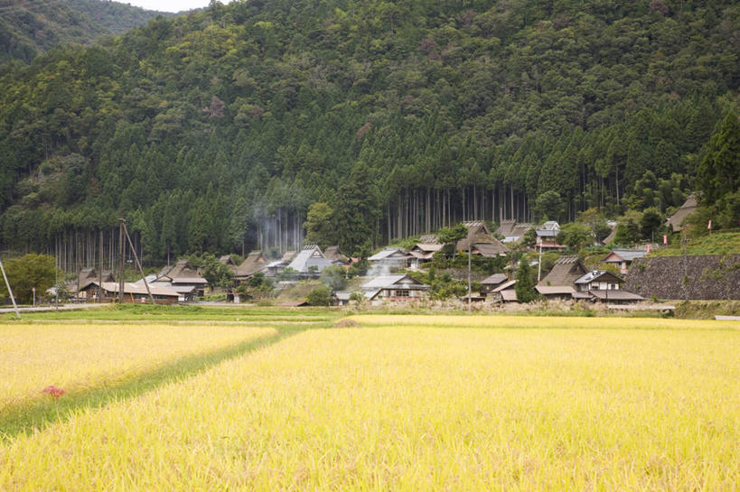 无人,家,农田,横图,室外,白天,正面,旅游,度假,农业,庄稼,农作物,美景,树林,植物,京都,日本,亚洲,许多,房顶,房屋,屋子,稻田,景观,烟雾,娱乐,楼房,住宅,树,树木,蓝色,绿色,蓝天,天空,自然,天,享受,休闲,景色,放松,京都府,生长,晴朗,成长,自然风光,东亚,本州,万里无云,本州岛,日本国,近畿地方,近畿,晴空,晴空万里,彩图,耕地,庄稼田,房子