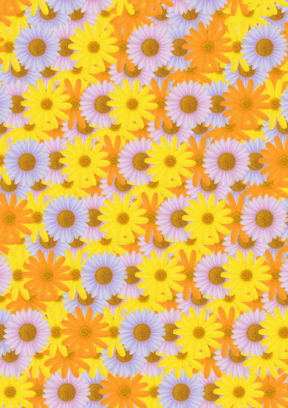 无人,竖图,室内,特写,白天,白色背景,正面,爱情,数码,科技,一排,许多,阴影,整齐,盛开,网络,茼蒿菊,高光,几何,计算机图形,合成,花蕾,花,花瓣,花朵,鲜花,排列,黄色,紫色,花苞,花蕊,菊花,吉祥,电脑合成图,数码合成图,队列,写实,具体,具象,高洁,长寿,蓬蒿菊,怀恋,清净,真情,寿客,秋菊,木春菊,木茼蒿,彩图