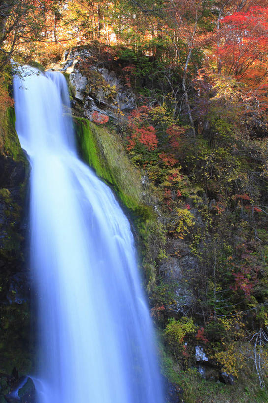 无人,竖图,室外,白天,仰视,旅游,度假,美景,瀑布,秋季,树林,水,植物,叶子,长野县,日本,亚洲,许多,阴影,飞溅,湍急,溅,光线,液体,影子,景观,水滴,枯叶,落叶,娱乐,水珠,树,树木,黄色,红色,绿色,阳光,自然,享受,休闲,景色,放松,生长,成长,倾泻,倾注,喷洒,自然风光,东亚,本州,本州岛,日本国,中部地方,长野,泼洒,叶,叶片,跌水,秋,秋天,彩图,低角度拍摄