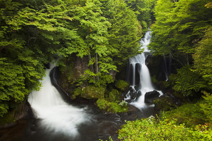 无人,横图,俯视,室外,白天,旅游,度假,湖,湖泊,美景,瀑布,树林,水,植物,日本,亚洲,波纹,飞溅,朦胧,模糊,湍急,溅,液体,湖面,景观,水滴,水流,水面,涟漪,娱乐,水珠,树,树木,绿色,水纹,自然,波浪,湖水,享受,休闲,景色,放松,生长,成长,倾泻,倾注,喷洒,自然风光,曝光,东亚,本州,关东地方,本州岛,日本国,栃木,栃木县,水晕,泼洒,暴光,跌水,彩图,高角度拍摄