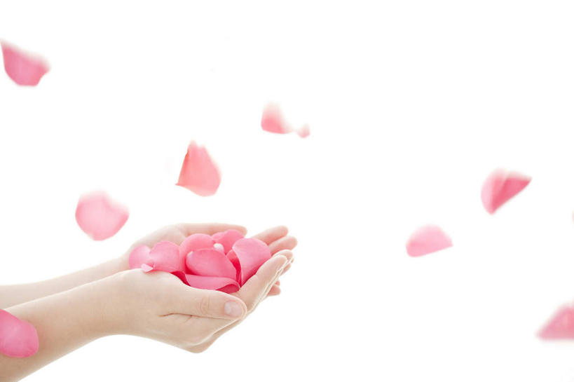 东方人,手,一个人,站,捧,横图,室内,特写,白天,白色背景,侧面,爱情,幸福,纯洁,热情,玫瑰,亚洲,双手,仅一个年轻女性,仅一个女性,仅一个人,许多,玫瑰花,浪漫,黄种人,飞舞,花瓣,粉色,站着,温暖,温馨,手部,恩爱,摄影,影棚,和睦,飘动,感动,尊敬,飘拂,天真,刺玫花,徘徊花,年轻女性,女人,女性,亚洲人,端,端着,捧着,手捧,站立,半身,彩图,影棚拍摄,拍摄,融洽