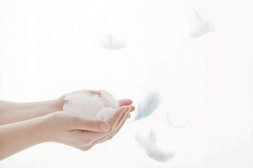 东方人,手,一个人,站,捧,横图,室内,特写,白天,白色背景,侧面,羽毛,亚洲,双手,仅一个年轻女性,仅一个女性,仅一个人,许多,轻盈,柔软,黄种人,飞舞,白色,站着,手部,摄影,影棚,飘动,轻柔,飘拂,年轻女性,女人,女性,亚洲人,端,端着,捧着,手捧,站立,半身,彩图,影棚拍摄,拍摄