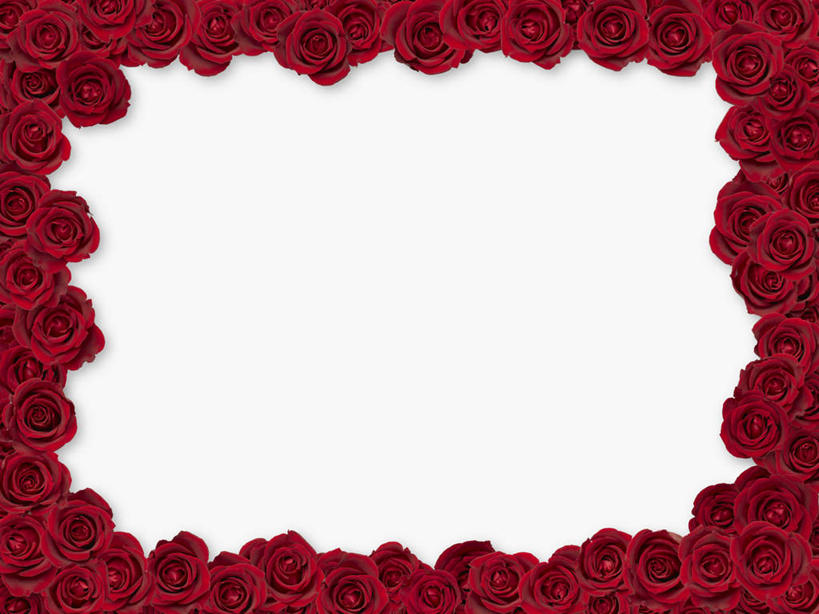 无人,横图,室内,特写,白天,白色背景,正面,爱情,幸福,纯洁,热情,植物,玫瑰,叶子,许多,环绕,盛开,围绕,方框,玫瑰花,浪漫,花蕾,花,花瓣,花朵,花卉,鲜花,排列,红色,绿色,框架,花束,花苞,花蕊,温暖,温馨,恩爱,摄影,影棚,和睦,队列,感动,尊敬,天真,刺玫花,徘徊花,彩图,影棚拍摄,拍摄,融洽