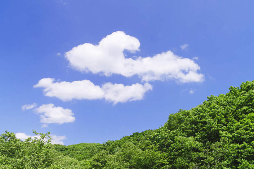 无人,公园,横图,室外,白天,仰视,旅游,度假,美景,森林,山,山脉,树林,植物,北海道,日本,亚洲,景观,山峰,云,云朵,山峦,云彩,娱乐,树,树木,蓝色,绿色,白云,蓝天,天空,自然,群山,天,享受,休闲,景色,放松,生长,晴朗,成长,国家公园,自然风光,东亚,日本国,北海道地方,北海道岛,支笏湖国家公园,晴空,彩图,低角度拍摄