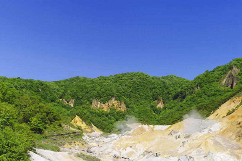 无人,公园,横图,室外,白天,仰视,旅游,度假,美景,森林,树林,植物,北海道,日本,亚洲,景观,娱乐,树,树木,蓝色,绿色,蓝天,天空,自然,天,享受,休闲,景色,放松,生长,晴朗,成长,国家公园,自然风光,东亚,万里无云,日本国,北海道地方,北海道岛,支笏湖国家公园,晴空,晴空万里,彩图,低角度拍摄