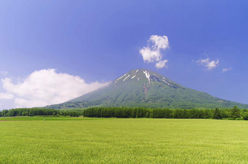 无人,横图,室外,白天,正面,旅游,度假,草地,草坪,美景,森林,山,山脉,树林,植物,北海道,日本,亚洲,许多,景观,山峰,云,云朵,山峦,云彩,娱乐,树,树木,蓝色,绿色,白云,蓝天,天空,自然,群山,天,享受,休闲,景色,放松,生长,晴朗,成长,自然风光,东亚,日本国,北海道地方,北海道岛,羊蹄山,晴空,彩图