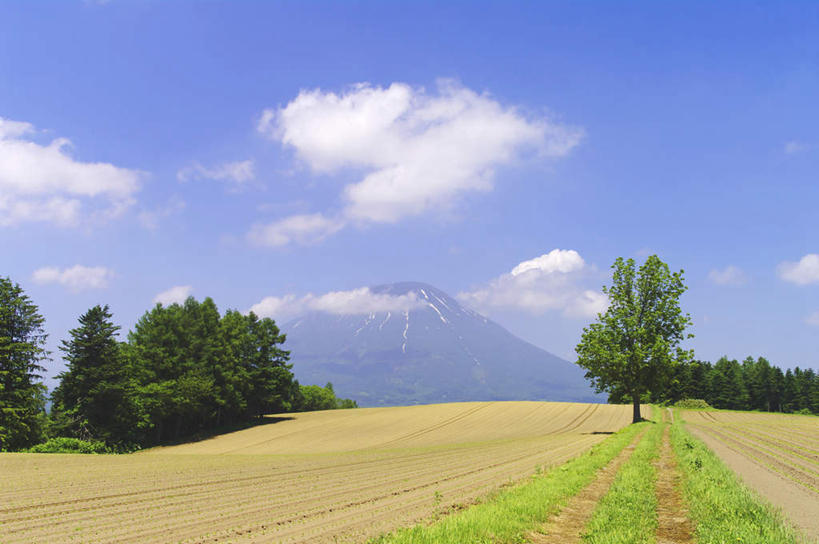 无人,农场,横图,室外,白天,正面,旅游,度假,草地,草坪,美景,森林,山,山脉,树林,植物,道路,路,北海道,日本,亚洲,许多,景观,山峰,云,云朵,小路,交通,山峦,云彩,娱乐,树,树木,蓝色,绿色,白云,蓝天,天空,自然,群山,天,享受,休闲,景色,放松,乡间小路,生长,晴朗,成长,自然风光,东亚,日本国,北海道地方,北海道岛,羊蹄山,晴空,彩图