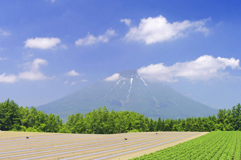 无人,农田,农场,横图,室外,白天,正面,旅游,度假,庄稼,农作物,美景,森林,山,山脉,树林,植物,北海道,日本,亚洲,许多,景观,山峰,云,云朵,山峦,云彩,娱乐,树,树木,蓝色,绿色,白云,蓝天,天空,自然,群山,天,享受,休闲,景色,放松,生长,晴朗,成长,自然风光,东亚,日本国,北海道地方,北海道岛,羊蹄山,晴空,彩图,耕地,庄稼田