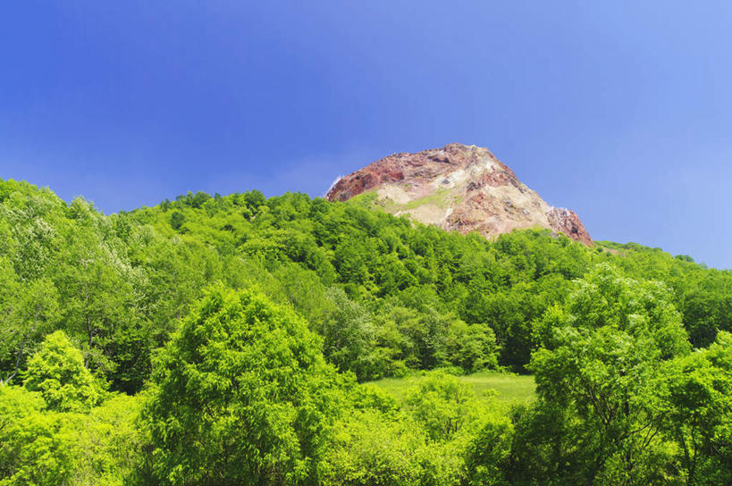 无人,公园,横图,室外,白天,仰视,旅游,度假,草地,草坪,美景,森林,山,山脉,树林,植物,北海道,日本,亚洲,许多,景观,山峰,云,云朵,山峦,云彩,娱乐,树,树木,蓝色,绿色,白云,蓝天,天空,自然,群山,天,享受,休闲,景色,放松,生长,晴朗,成长,国家公园,自然风光,东亚,日本国,北海道地方,北海道岛,支笏湖国家公园,晴空,彩图,低角度拍摄