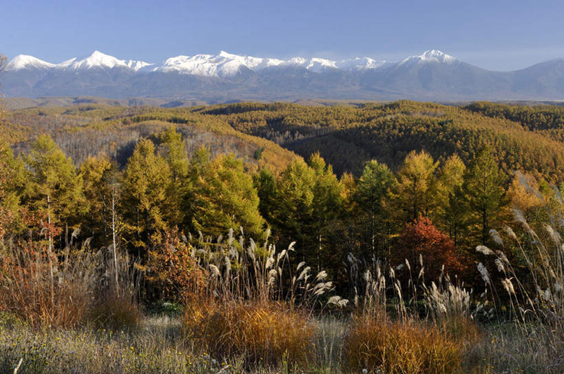无人,横图,室外,白天,正面,旅游,度假,草地,草坪,美景,山,山脉,树林,雪山,植物,北海道,日本,亚洲,阴影,光线,影子,景观,山峰,山峦,娱乐,草,树,树木,黄色,红色,蓝色,绿色,白色,蓝天,天空,阳光,自然,群山,天,享受,休闲,景色,放松,生长,成长,棕黄色,自然风光,东亚,日本国,北海道地方,北海道岛,彩图