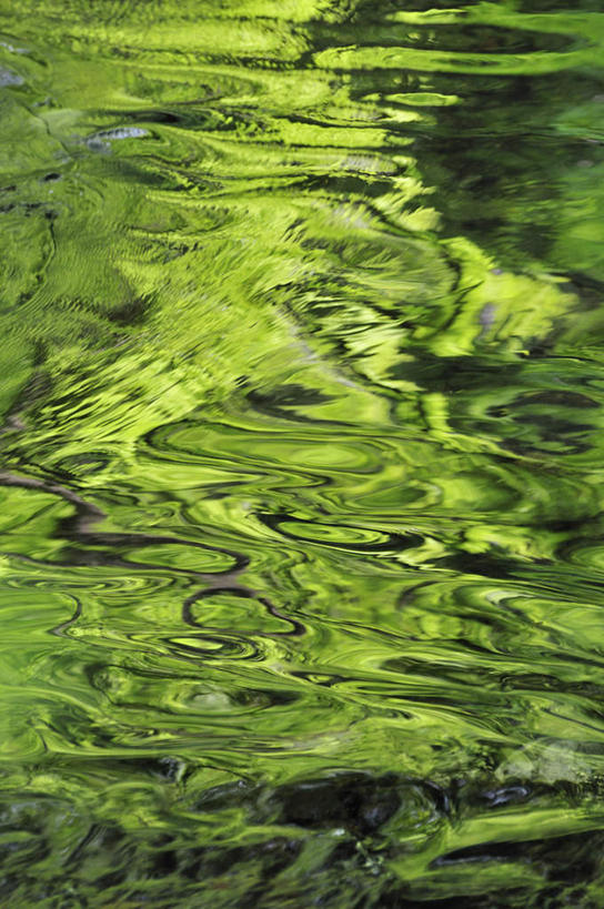 无人,竖图,俯视,室外,白天,旅游,度假,美景,水,植物,广岛县,日本,亚洲,波纹,景观,水面,涟漪,娱乐,树,树木,绿色,倒影,水纹,自然,波浪,享受,休闲,景色,放松,生长,成长,自然风光,东亚,本州,本州岛,日本国,広岛,水晕,中国地方,彩图,高角度拍摄