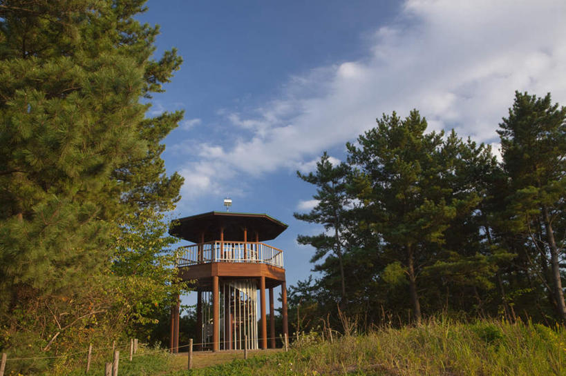 无人,天文台,横图,室外,白天,仰视,旅游,度假,草地,草坪,美景,树林,植物,日本,亚洲,阴影,光线,木制,影子,景观,云,云朵,云彩,娱乐,草,树,树木,一个,蓝色,绿色,白云,蓝天,天空,阳光,自然,木制品,天,享受,休闲,景色,放松,生长,晴朗,单个,成长,自然风光,东亚,本州,茨城,茨城县,关东地方,本州岛,日本国,晴空,彩图,低角度拍摄,气象台