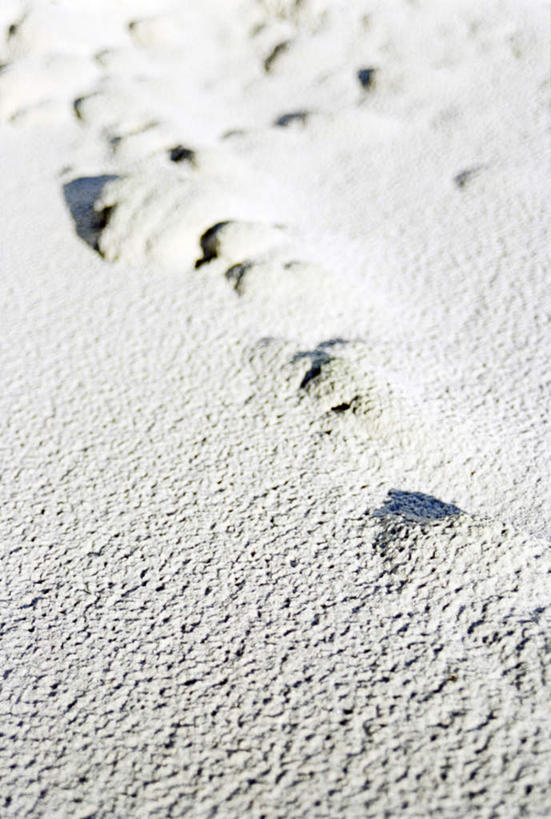 无人,竖图,俯视,室外,特写,白天,旅游,度假,美景,沙滩,爱知县,日本,亚洲,许多,脚印,阴影,光线,沙子,影子,海岸,景观,沙地,娱乐,沙坑,阳光,自然,享受,休闲,景色,放松,足迹,自然风光,东亚,本州,本州岛,日本国,中部地方,爱知,海滩,彩图,高角度拍摄