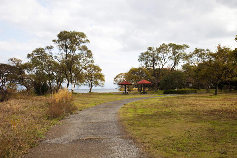 无人,横图,室外,白天,正面,旅游,度假,草地,草坪,美景,秋季,植物,道路,路,叶子,日本,亚洲,阴影,光线,影子,亭子,景观,云,云朵,小路,枯叶,落叶,交通,云彩,娱乐,草,树,树木,黄色,蓝色,绿色,白云,蓝天,天空,阳光,自然,天,享受,休闲,景色,放松,生长,晴朗,成长,自然风光,东亚,两座,本州,本州岛,日本国,近畿地方,近畿,滋贺,滋贺县,琵琶湖,叶,叶片,晴空,秋,秋天,彩图