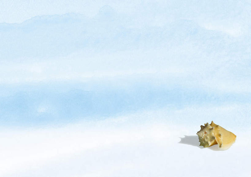 无人,横图,插画,室内,白天,正面,数码,科技,海浪,海洋,石头,沙滩,山,山脉,贝壳,阴影,光线,网络,沙子,石子,影子,海岸,浪花,山顶,山峰,沙地,山峦,高光,几何,计算机图形,合成,图画,画,一个,阳光,海水,群山,单个,海贝,电脑合成图,数码合成图,漫画,海景,沉积岩,写实,具体,具象,颠峰,极峰,水成岩,贝类外壳,海螺壳,软体动物外壳,大海,风浪,海,海水的波动,海滩,近岸浪,石块,岩石,涌浪,彩图