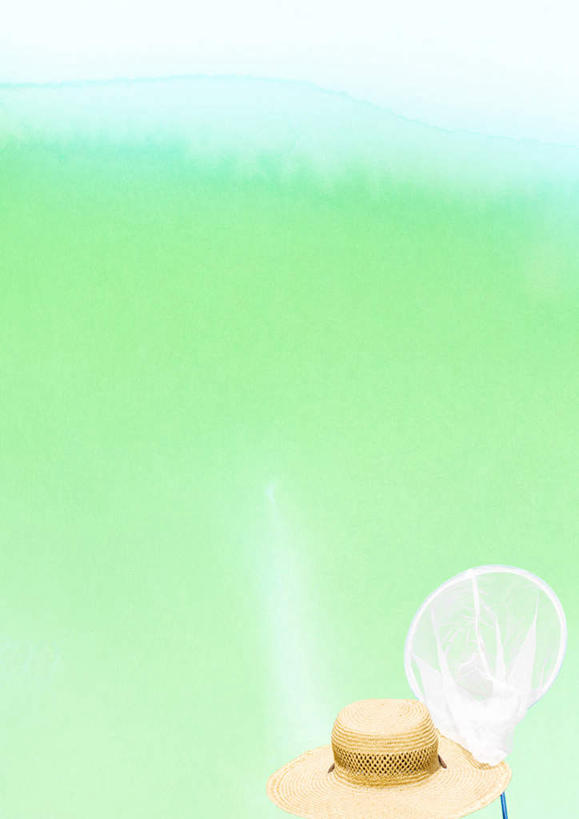 无人,竖图,插画,室内,白天,正面,数码,科技,帽子,绿色背景,阴影,网络,草帽,夏季,高光,几何,计算机图形,合成,图画,画,一个,夏天,蝴蝶网,单个,电脑合成图,数码合成图,兴趣,爱好,漫画,写实,具体,具象,彩图