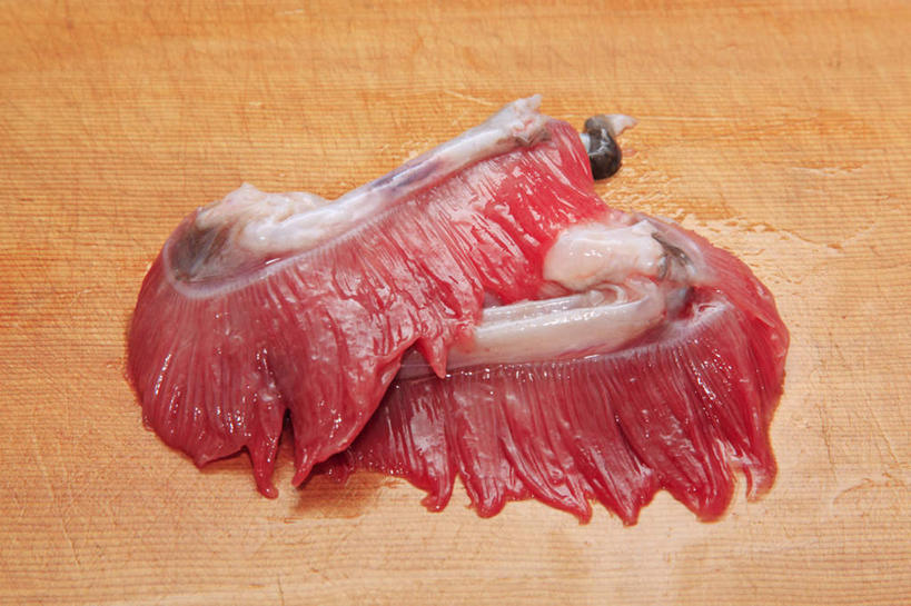 海鲜,无人,横图,俯视,室内,特写,白天,厨房,桌面,桌子,两块,阴影,反射,木制,鱼,影子,案板,切块,水产,鱼类,海洋生物,砧板,红色,木制品,水生动物,海产品,水生物,海底动物,安康鱼,蛤蟆鱼,老头鱼,结巴鱼,丑婆,鮟鱇,鮟鱇鱼,哈蟆鱼,海哈蟆,琵琶鱼,鱼鳃,彩图,高角度拍摄,灶间