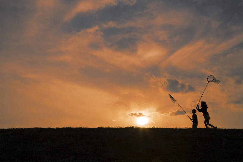 东方人,儿童,两个人,站,横图,室外,白天,正面,纯洁,草地,草坪,日落,植物,亚洲,地平线,晚霞,霞光,辽阔,捕虫网,地面,拿,拿着,黄种人,草,小孩,绿色,黄昏,站着,广阔,彩霞,可爱,童年,童趣,一望无际,扫网,水网,延伸,童真,烂漫,无邪,天地相交,扑网,无边无际,一马平川,天真,男孩,男人,男性,亚洲人,夕阳,站立,彩图,全身,男生