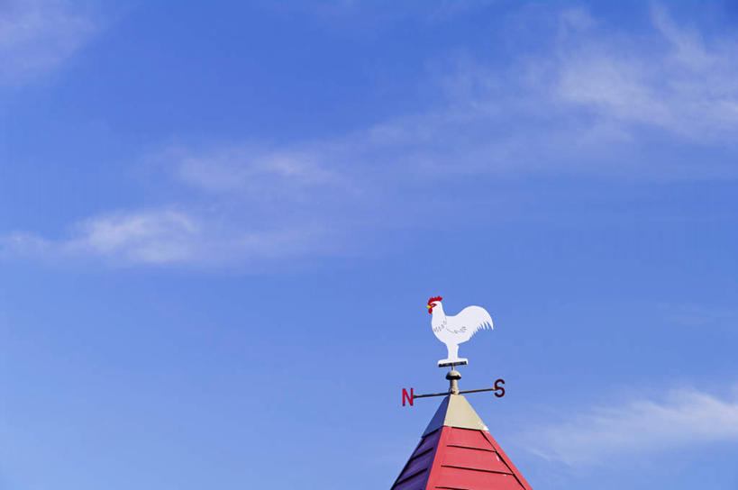 无人,横图,室外,白天,仰视,旅游,度假,美景,风向标,风向袋,雕塑,北海道,日本,亚洲,艺术,装饰,雕刻,雕像,景观,云,云朵,云彩,娱乐,一个,蓝色,白云,蓝天,天空,自然,工艺品,天,享受,休闲,景色,放松,晴朗,单个,纪念,美术,自然风光,主题,陈列,东亚,札幌,日本国,北海道地方,北海道岛,功能,美学,县厅,风标,晴空,公鸡,彩图,低角度拍摄,札幌市