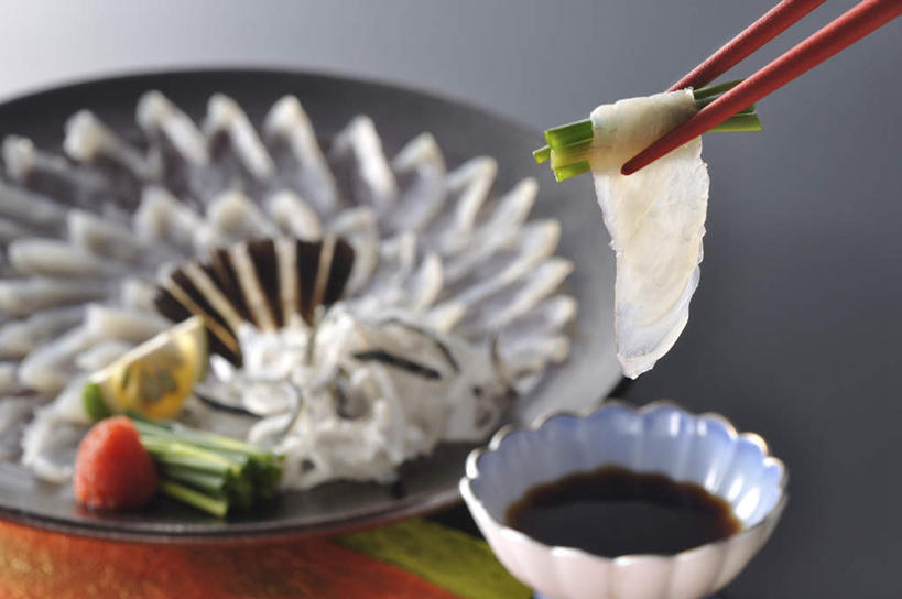 生鱼片,无人,横图,俯视,室内,特写,白天,餐桌,桌面,桌子,黄瓜,蔬菜,餐具,许多,新鲜,环绕,围绕,碟子,盘,调料,肉,鱼肉,鱼片,食品,调味品,夹,调味料,两碗,酱油,肉类,食物,排列,盘子,碟,摄影,有机食品,绿色食品,影棚,餐台,河豚,河豚鱼,夹着,队列,肉食,鲀鱼,河鲀,沙西米,青瓜,胡瓜,彩图,高角度拍摄,影棚拍摄,拍摄,刺身