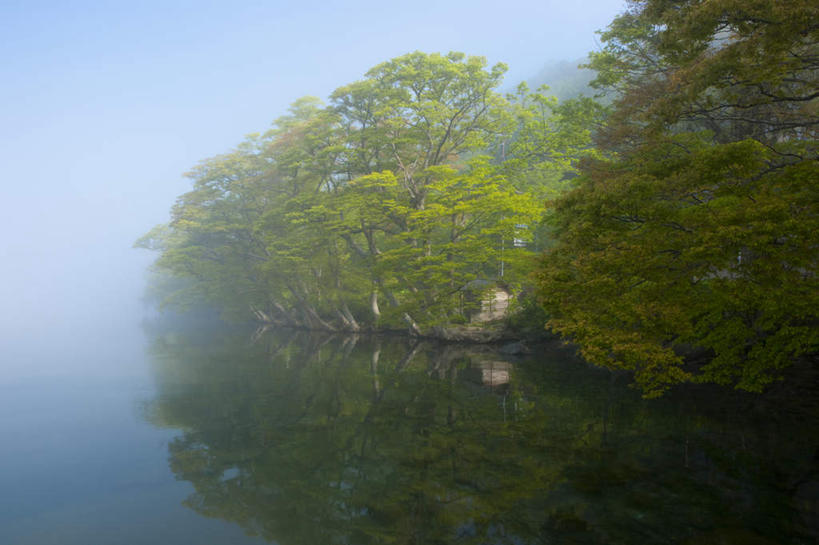 无人,公园,横图,室外,白天,正面,旅游,度假,湖,湖泊,美景,树林,水,植物,雾,秋田县,日本,亚洲,朦胧,模糊,湖面,景观,水流,水面,娱乐,树,树木,蓝色,绿色,蓝天,天空,自然,湖水,天,享受,休闲,景色,放松,生长,晴朗,成长,迷雾,自然风光,东亚,本州,万里无云,本州岛,日本国,秋田,岩手,岩手县,青森,青森县,东北地方,十和田湖,十和田八幡平国立公园,大雾,晴空,晴空万里,彩图