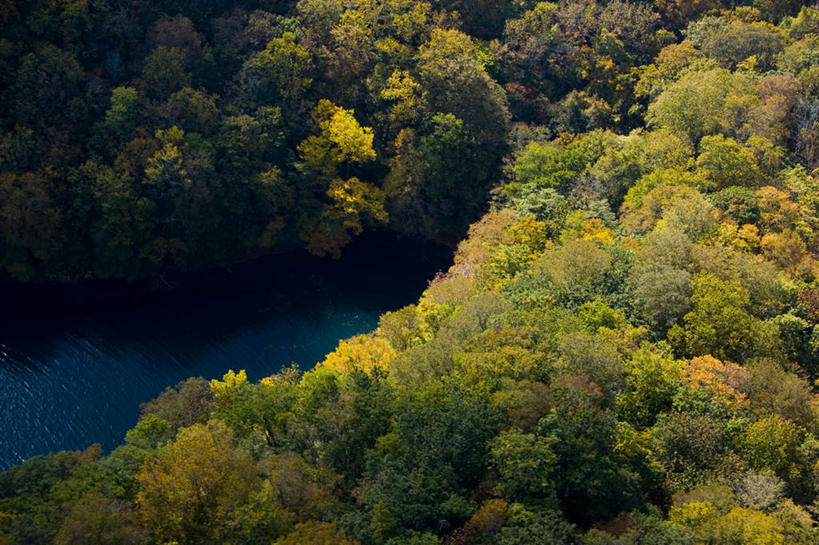 无人,公园,横图,俯视,航拍,室外,白天,旅游,度假,湖,湖泊,美景,森林,树林,水,植物,秋田县,日本,亚洲,湖面,景观,水流,水面,娱乐,树,树木,绿色,自然,湖水,享受,休闲,景色,放松,生长,成长,鸟瞰,自然风光,东亚,本州,本州岛,日本国,秋田,岩手,岩手县,青森,青森县,东北地方,十和田湖,十和田八幡平国立公园,彩图,高角度拍摄