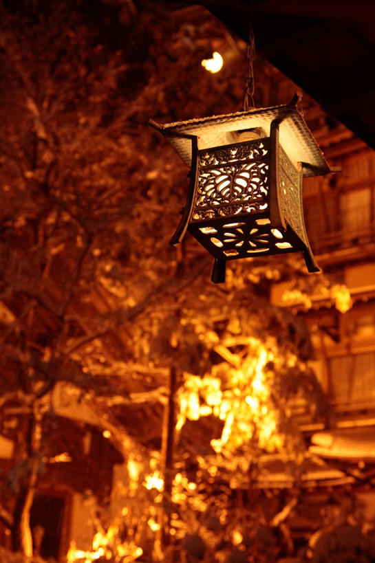 无人,竖图,室外,夜晚,仰视,度假,美景,雪,植物,大雪,城市风光,城市,照明,日本,亚洲,吊挂,悬挂,阴影,光线,灯笼,影子,积雪,景观,雪景,冬季,冬天,灯光,挂,娱乐,树,树木,绿色,自然,灯具,享受,休闲,景色,放松,寒冷,生长,成长,照亮,照明设备,东亚,日本国,严寒,彩图,低角度拍摄,石灯笼