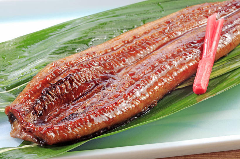 鳗鱼,无人,横图,俯视,室内,特写,白天,烹饪,烧烤,餐桌,桌子,鳗鲡,叶子,一排,阴影,整齐,反射,影子,粽叶,调料,酱料,酱汁,肉,鱼肉,佐料,日本料理,料理,食品,绿叶,烤肉,调味品,调味料,酱,菜肴,美食,肉类,竹签,食物,排列,日式料理,日式,嫩叶,摄影,佳肴,影棚,餐台,康吉鳗,队列,肉食,河鳗,取食签,箬叶,芦苇叶,白鳗,青鳝,风馒,叶,叶片,白鳝,彩图,高角度拍摄,影棚拍摄,拍摄