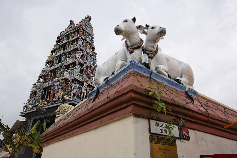 无人,寺庙,横图,室外,白天,仰视,旅游,度假,名胜古迹,植物,标志建筑,地标,建筑,牛,雕塑,新加坡,亚洲,两头,节日,遗迹,艺术,装饰,雕刻,雕像,乌云,云,阴天,云朵,燃烧,云彩,扭头,注视,古迹,文化,文物,娱乐,建设,古建筑,树,树木,绿色,天空,自然,动物,香火,工艺品,庙宇,天,观察,看,趴着,祈祷,转头,享受,休闲,健康,旅游胜地,家畜,放松,许愿,宗教,东南亚,牲畜,信仰,生长,成长,观看,纪念,祈求,美术,察看,昏暗,阴沉,关注,主题,陈列,古文明,功能,美学,新加坡共和国,维拉玛卡里雅曼兴都庙,平安,趴,彩图,低角度拍摄,全身,庙,寺,小印度,狮城,新加坡东南区,星岛,星洲