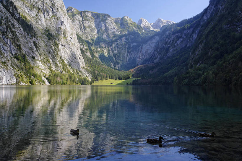 游泳,无人,公园,横图,室外,白天,正面,旅游,度假,湖,湖泊,美景,山,山脉,树林,水,植物,鸟,德国,欧洲,三只,阴影,波纹,光线,鸟类,鸭,影子,湖面,景观,山峰,水流,水面,涟漪,山峦,注视,娱乐,家禽,树,树木,蓝色,绿色,倒影,蓝天,水纹,天空,阳光,自然,动物,波浪,湖水,群山,天,观察,看,享受,休闲,景色,放松,牲畜,生长,晴朗,成长,观看,察看,倒映,国家公园,西欧,关注,自然风光,万里无云,德意志联邦共和国,水晕,泅水,巴伐利亚,巴伐利亚州,拜恩州,拜恩自由州,反照,拍浮,贝希特斯加登,贝希特斯加登县,贝希特斯加登国家公园,晴空,晴空万里,彩图,全身