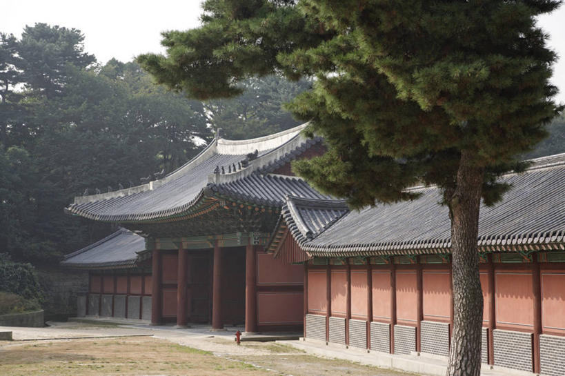 无人,宫殿,横图,室外,白天,正面,旅游,度假,草地,草坪,名胜古迹,树林,植物,标志建筑,地标,建筑,首尔,汉城,韩国,亚洲,阴影,遗迹,光线,瓦片,影子,屋顶,首都,顶棚,瓦,古迹,文物,娱乐,建设,古建筑,草,树,树木,蓝色,绿色,蓝天,天空,阳光,自然,天,享受,休闲,旅游胜地,放松,建造,生长,晴朗,成长,古文明,东亚,屋瓦,万里无云,大韩民国,首尔市,首尔特别市,特别市,钟路区,晴空,晴空万里,彩图,昌庆宫