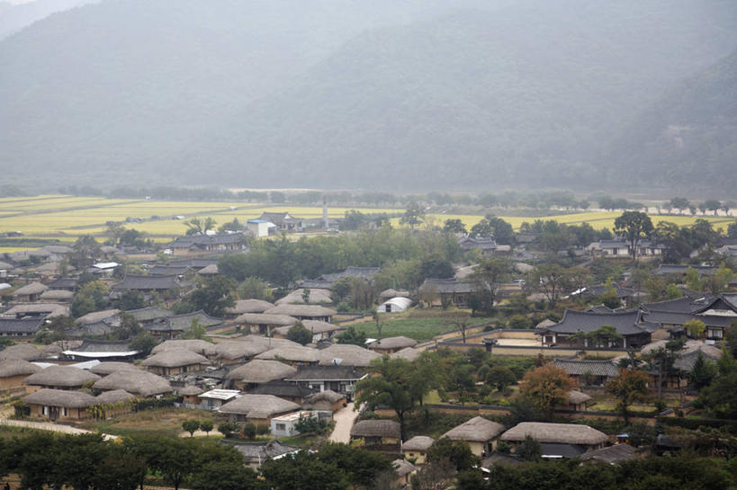 无人,家,农田,横图,室外,白天,正面,旅游,度假,庄稼,农作物,草地,草坪,美景,山,山脉,树林,植物,城市风光,城市,建筑,安东,韩国,亚洲,阴影,光线,瓦片,影子,房屋,屋顶,屋子,景观,山峰,公寓,建筑群,山峦,顶棚,瓦,娱乐,建设,洋房,楼房,住宅,草,树,树木,绿色,阳光,自然,群山,享受,休闲,景色,放松,建造,生长,成长,东亚,屋瓦,大韩民国,庆尚北道,安东市,彩图,耕地,庄稼田,房子,安东河回村,河回村,道