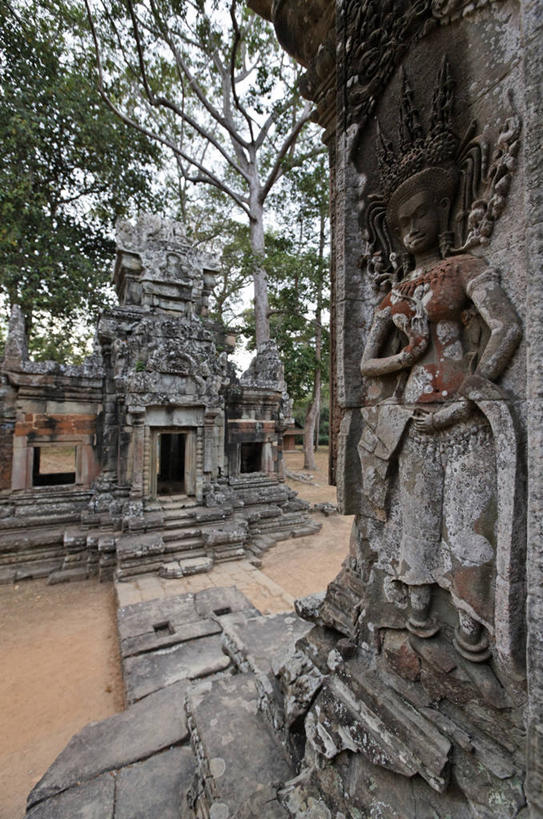 无人,寺庙,竖图,室外,白天,正面,旅游,度假,绘画,名胜古迹,树林,植物,标志建筑,地标,建筑,雕塑,柬埔寨,亚洲,节日,遗迹,艺术,装饰,雕刻,雕像,浮雕,枝条,燃烧,古迹,文化,文物,娱乐,建设,古建筑,树,树木,树枝,绿色,天空,自然,香火,工艺品,庙宇,天,祈祷,享受,休闲,健康,旅游胜地,放松,许愿,宗教,东南亚,信仰,生长,成长,纪念,祈求,美术,主题,陈列,古文明,暹粒,高棉,柬埔寨王国,功能,美学,吉蔑,虬枝,枝杈,大吴哥城,吴哥,吴哥城,吴哥通王城,平安,画画,彩图,庙,寺