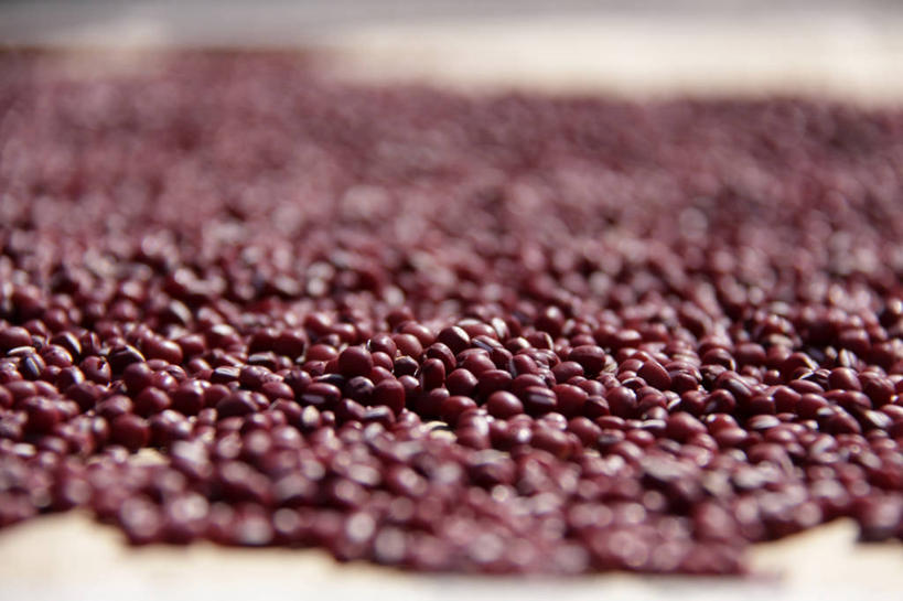 无人,横图,室内,特写,白天,正面,植物,豆,蔬菜,一堆,许多,阴影,堆叠,堆积,朦胧,模糊,新鲜,反射,影子,豆类,豆子,红豆,食品,很多,食物,红色,有机食品,绿色食品,堆,赤豆,豆科,红小豆,彩图