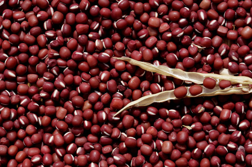 无人,横图,俯视,室内,特写,白天,植物,豆,蔬菜,一堆,许多,阴影,堆叠,堆积,朦胧,模糊,新鲜,反射,影子,豆类,豆子,红豆,食品,很多,食物,红色,有机食品,绿色食品,堆,赤豆,豆科,红小豆,彩图,高角度拍摄