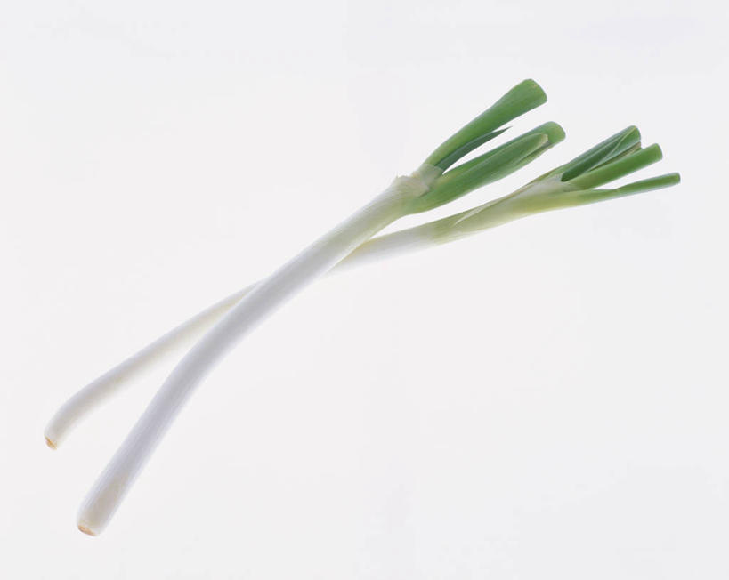 无人,横图,室内,特写,白天,白色背景,正面,蔬菜,新鲜,韭菜,食品,食物,两个,摄影,有机食品,绿色食品,影棚,起阳草,韭,山韭,长生韭,彩图,影棚拍摄,拍摄