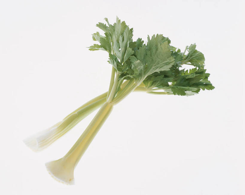 无人,横图,室内,特写,白天,白色背景,正面,芹菜,蔬菜,新鲜,食品,食物,两个,摄影,有机食品,绿色食品,影棚,药芹,水芹,旱芹,彩图,影棚拍摄,拍摄