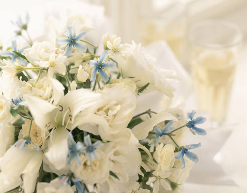 无人,横图,室内,特写,白天,正面,阴影,装饰,盛开,反射,捧花,手捧花,影子,花蕾,花,花瓣,花朵,鲜花,白色,花束,花苞,花蕊,华丽,修饰,点缀,衬托,美观,雅致,雅观,婚礼捧花,彩图