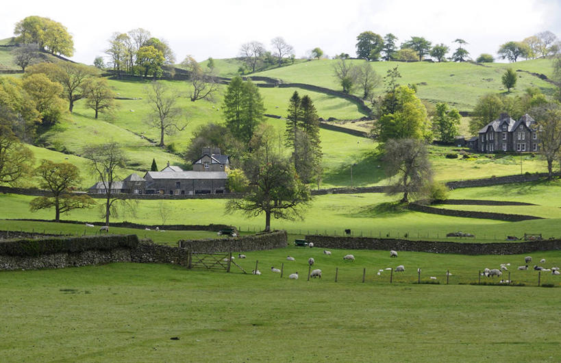 无人,农场,栏杆,站,走,横图,俯视,室外,白天,旅游,度假,畜牧业,牧场,草地,草坪,美景,植物,野生动物,羊,英国,欧洲,许多,栅栏,景观,篱笆,围栏,注视,娱乐,护栏,英格兰,草,树,树木,绿色,自然,动物,观察,看,站着,享受,休闲,景色,放松,可爱,活泼,生长,成长,观看,察看,西欧,关注,自然风光,大不列颠,畜牧,大不列颠及北爱尔兰联合王国,牧业,英吉利,坎布里亚,坎布里亚郡,山羊,步行,散步,站立,走路,彩图,高角度拍摄,全身,行政区,大不列颠王国,大英帝国,联合王国,日不落帝国,西北英格兰