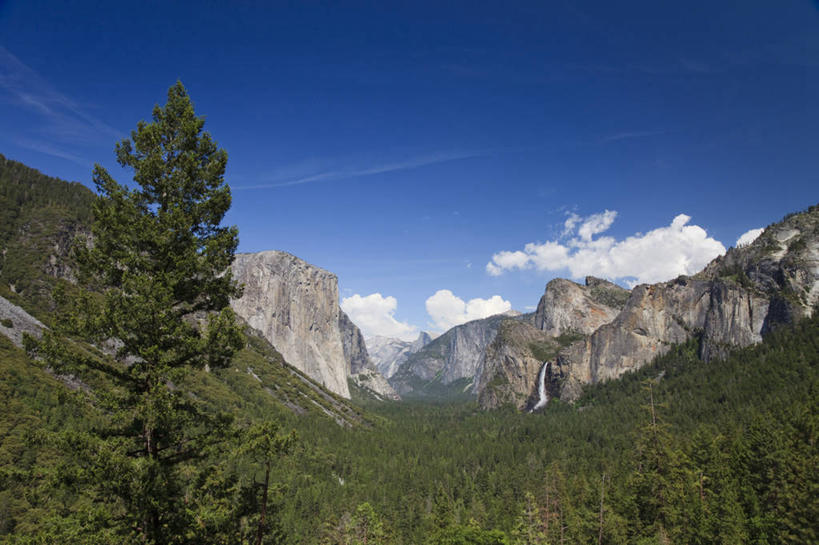 无人,公园,横图,室外,白天,仰视,旅游,度假,石头,美景,森林,山,山脉,树林,植物,美国,阴影,光线,石子,影子,景观,山顶,山峰,云,云朵,山峦,云彩,娱乐,树,树木,蓝色,绿色,白云,蓝天,天空,阳光,自然,群山,天,享受,休闲,景色,放松,生长,晴朗,成长,北美,北美洲,国家公园,加利福尼亚,自然风光,约塞米蒂国家公园,美洲,加州,沉积岩,加利福尼亚州,优胜美地国家公园,金州,黄金州,北亚美利加洲,亚美利加洲,美国尤塞米提国家公园,优山美地,约瑟米提国家公园,颠峰,极峰,水成岩,新娘面纱瀑布,石块,岩石,晴空,彩图,低角度拍摄