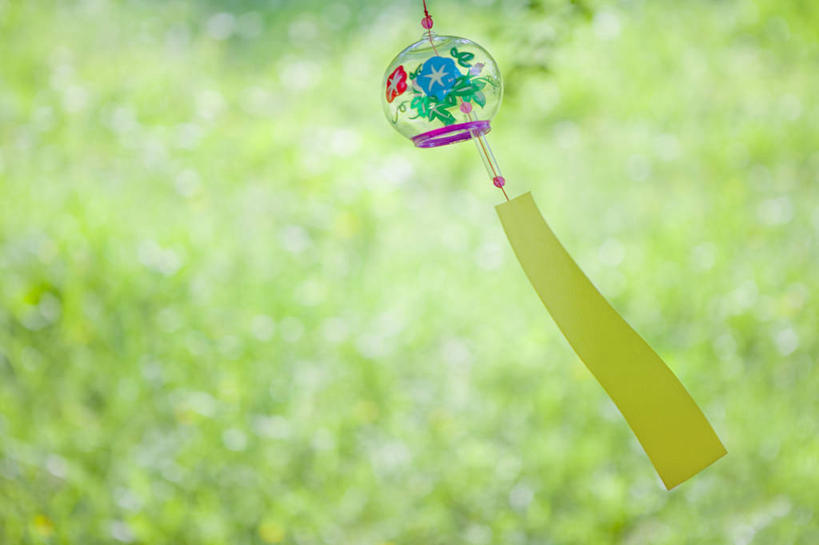 无人,横图,室外,特写,白天,正面,幸福,运气,植物,风铃,吊挂,悬挂,朦胧,模糊,挂,树,树木,一个,绿色,自然,祈祷,祈福,警示,许愿,生长,单个,成长,祈求,吉祥,平和,问候,警惕,思念,想念,玉振,幸运,占风铎,彩图