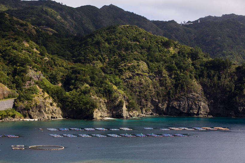 无人,横图,室外,白天,正面,旅游,度假,岛屿,海浪,海洋,石头,美景,森林,山,山脉,树林,植物,东京,日本,亚洲,阴影,光线,石子,影子,岛,景观,浪花,山顶,山峰,云,云朵,山峦,云彩,娱乐,树,树木,蓝色,绿色,白云,蓝天,天空,阳光,自然,海水,群山,天,享受,休闲,景色,放松,生长,晴朗,成长,自然风光,海景,东亚,沉积岩,本州,关东地方,本州岛,日本国,东京都,颠峰,极峰,小笠原群岛,水成岩,父岛列岛,大海,风浪,海,海水的波动,近岸浪,列岛,群岛,石块,岩石,涌浪,诸岛,晴空,彩图